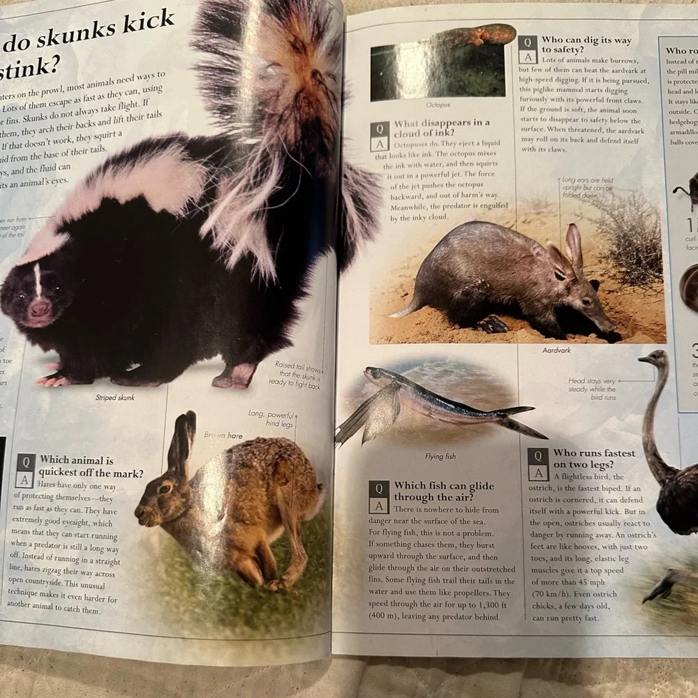 Amazing Animals Q&A- everything you never knew about the animal kingdom - Picture 8 of 10